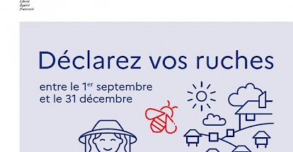 Déclaration ruches